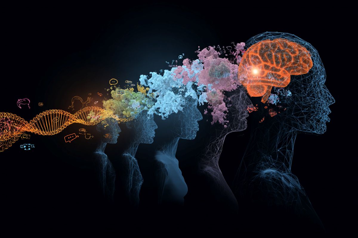 Brain Inventory - Virtual Museum